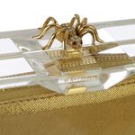 Clutch-Charlotte-Olympia-Acrilico-Transparente