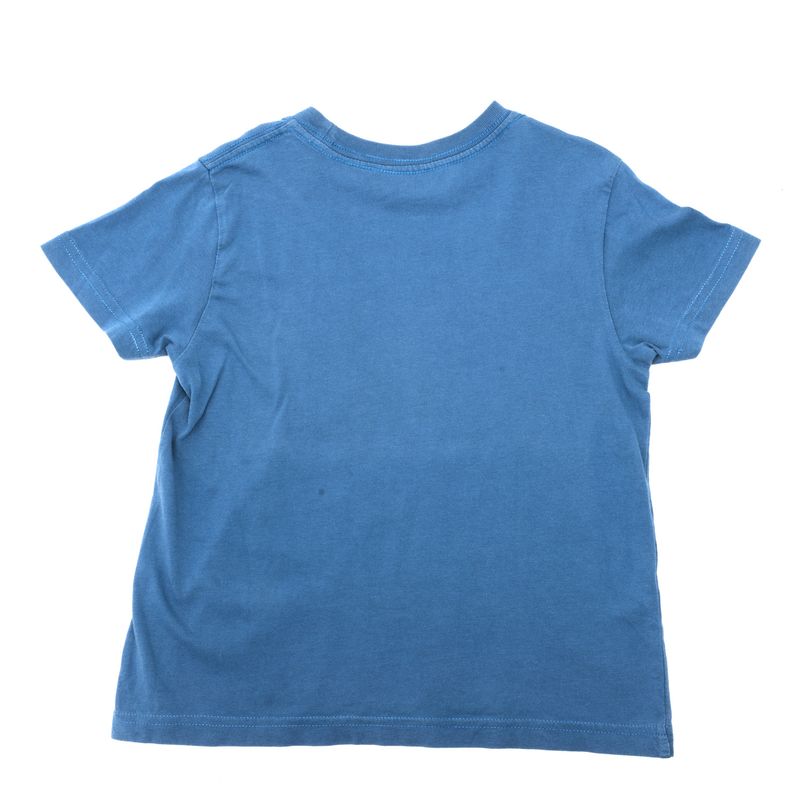 Camiseta-Polo-Ralph-Lauren-Infantil-Azul