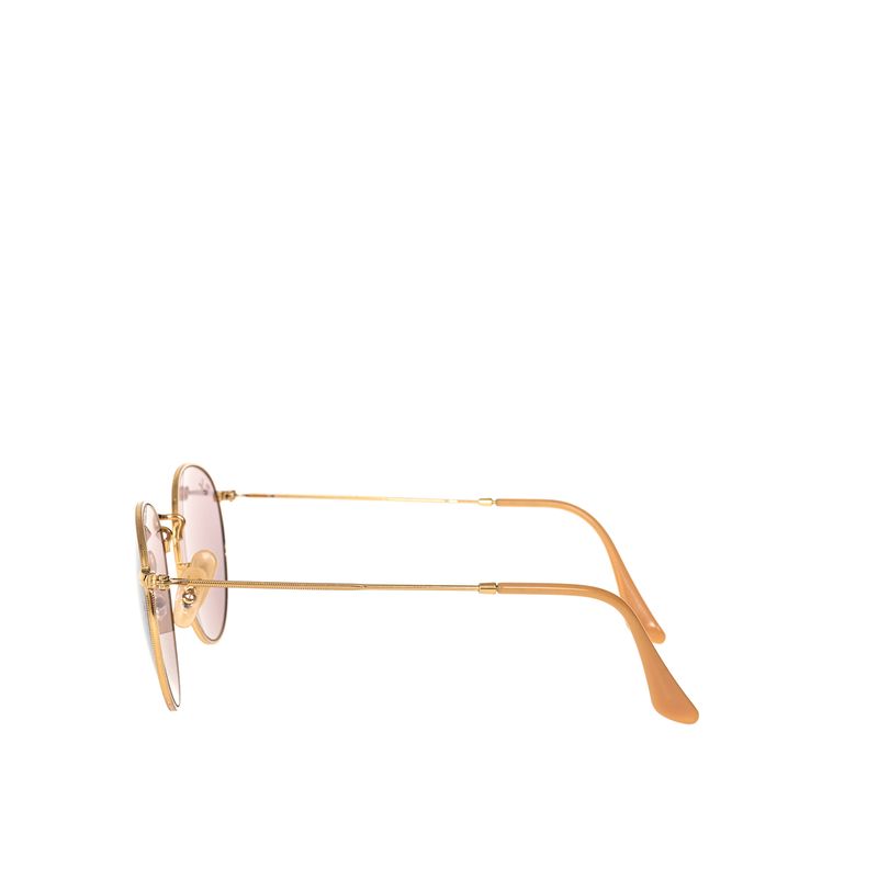 Oculos-Ray-Ban-Evolve-Round