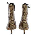 Bota-Alexandre-Birman-Python