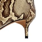 Bota-Alexandre-Birman-Python