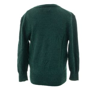 Suéter Polo Ralph Lauren Infantil Lã Verde