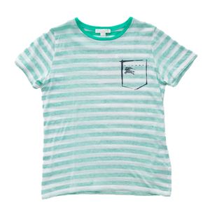 Camiseta Burberry Infantil Listrada Verde e Branca