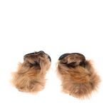 Mule-Gucci-Princetown-Pelos-Veludo-Preto