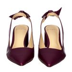 Sapato-Alexandre-Birman-Slingback-Couro-Roxo