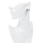 Brinco-de-Pressao-Swarovski-Circulos-Prateado-com-Cristais