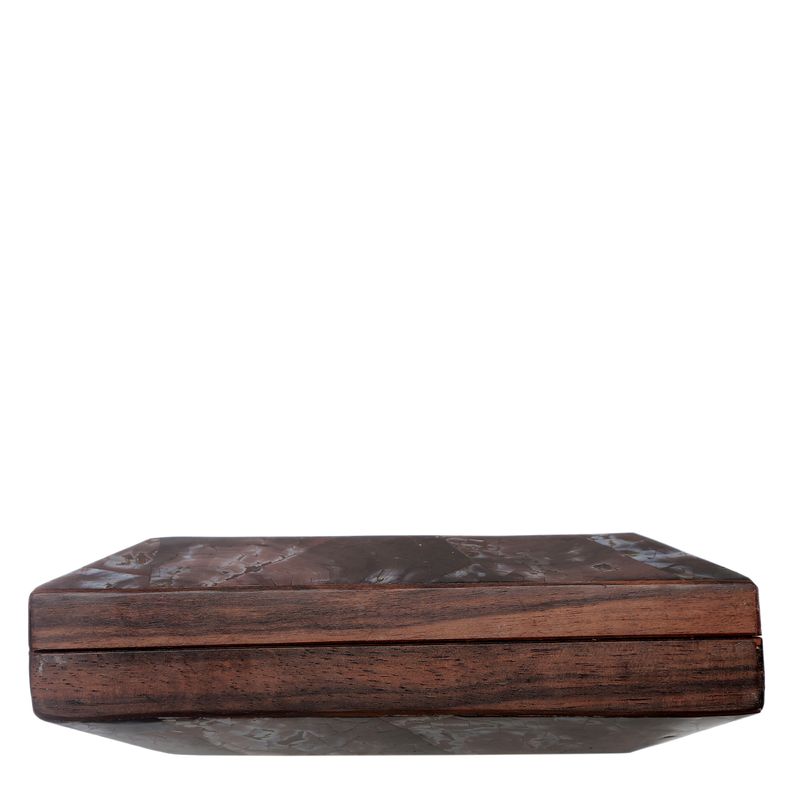 Clutch-Acetato-Marrom-e-Roxa-