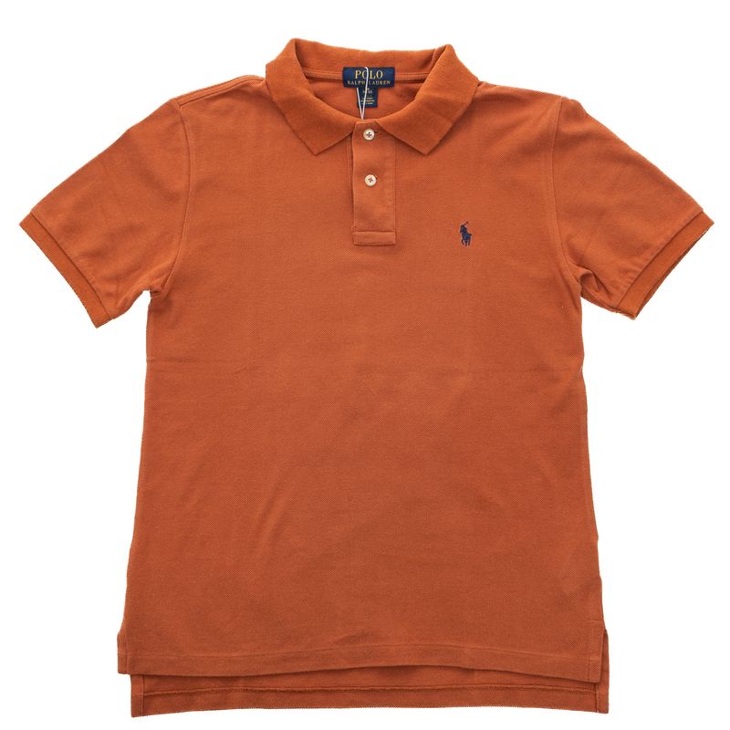 Blusa-Polo-Ralph-Lauren-Infantil-Marrom