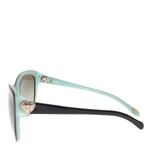 Oculos-Tiffany---Co.-TF-4065-B-Preto