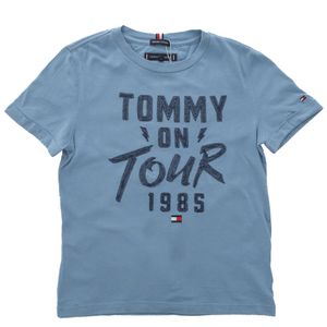 Camiseta Tommy Hilfiger Infantil Bordado Azul
