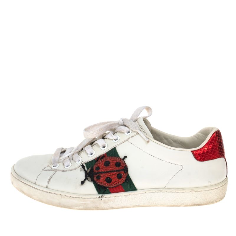 Tenis-Gucci-Ace-Abacaxi-e-Joaninha