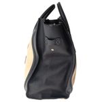 Bolsa-Celine-Luggage-Bicolor