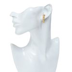 Brinco-Ana-Rocha---Appolinario-Circulos-em-Ouro-Amarelo
