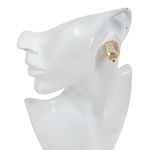 Brinco-de-Pressao-Swarovski-Furtacor