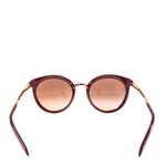 Oculos-Dolce---Gabbana-Animal-Print