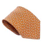 Gravata-Salvatore-Ferragamo-Estampada-Laranja