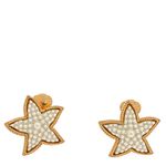 Brinco-Vintage-Pressao-Estrela-