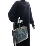 Bolsa-Goyard-St-Louis-PM-Goyardine-Verde