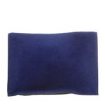 Clutch-Proenza-Schouler-Pelos-Azul-