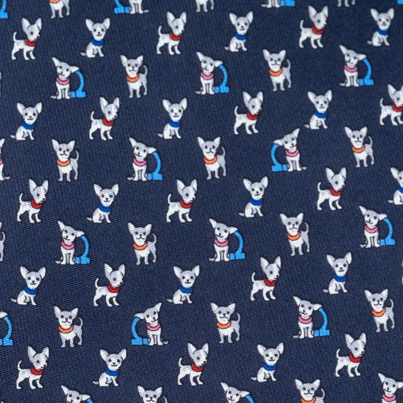 Gravata-Salvatore-Ferragamo-Estampada-Dog-Azul-